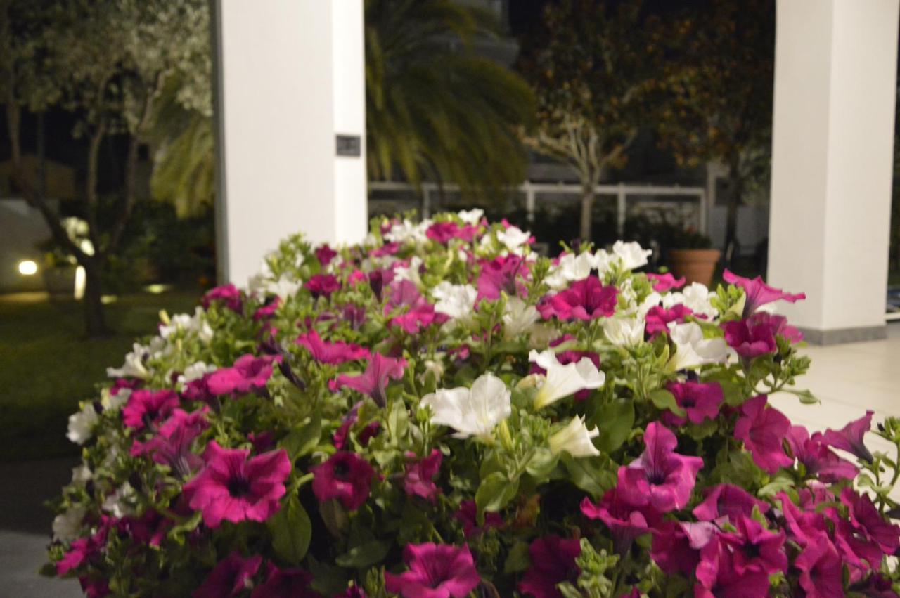 Hotel Fortunella Lido di Camaiore Exterior photo